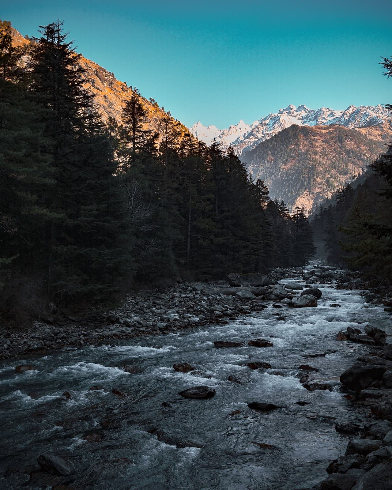 May 2026: the party heads for the hills