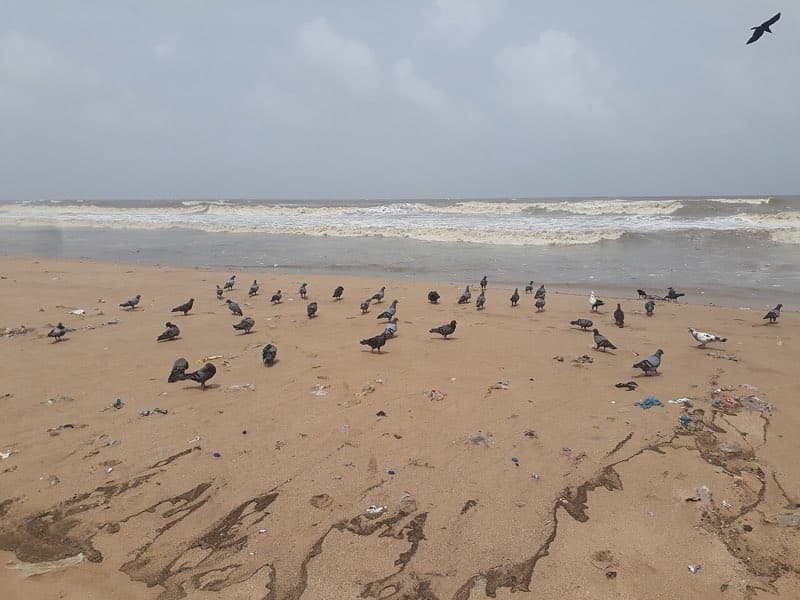Juhu Beach