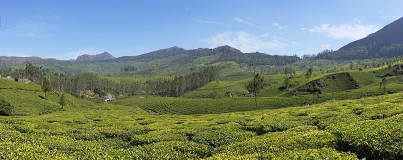 Munnar