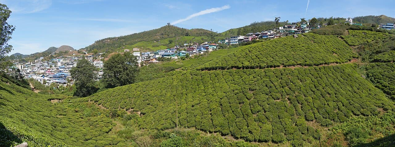 Munnar, Munnar