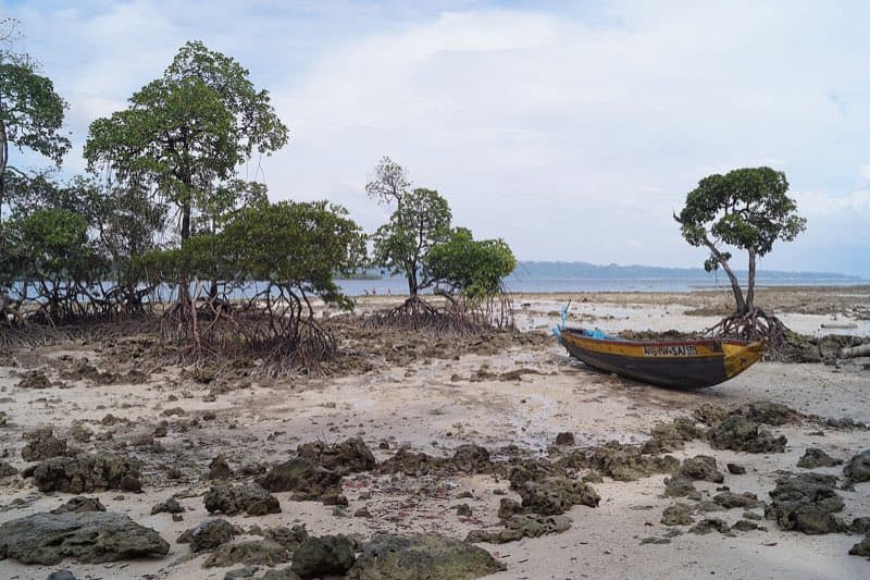 Radhanagar Beach