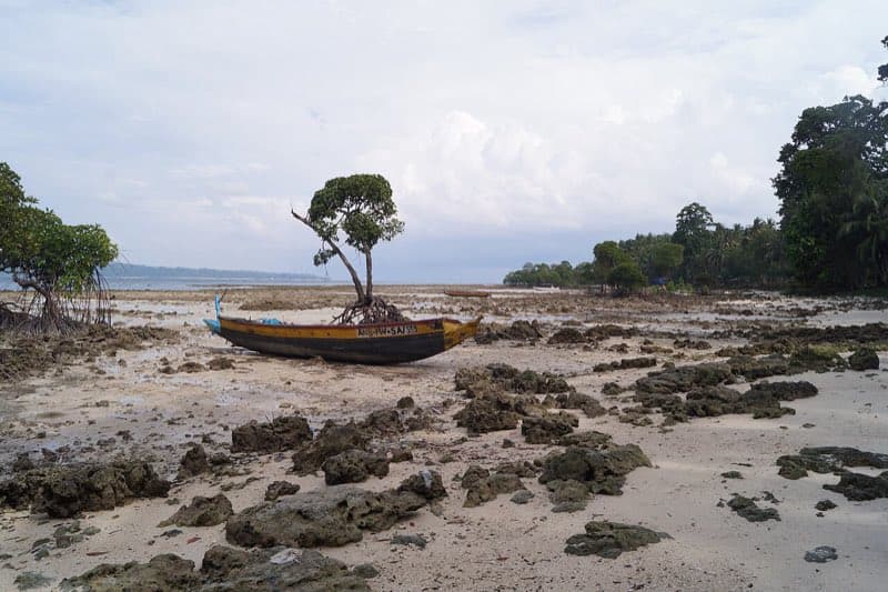 Radhanagar Beach