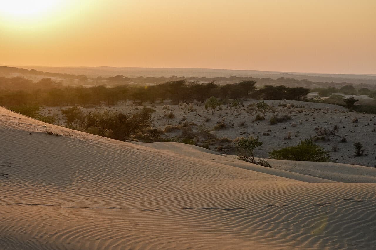 Sam Sand Dunes, Jaisalmer